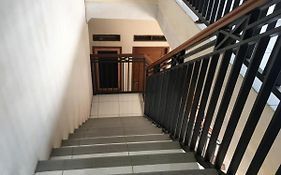 Vanila Kost Jatiwarna - Women Only